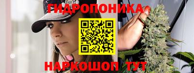 тгк Можга