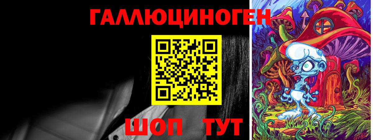 Галлюциногенные грибы мухоморы Гусиноозёрск