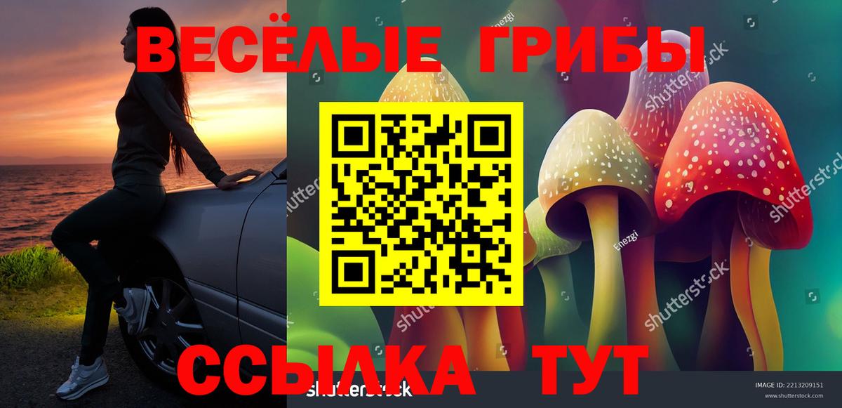 Галлюциногенные грибы MAGIC MUSHROOMS  купить наркоту  Гусиноозёрск  Вход с VPN 